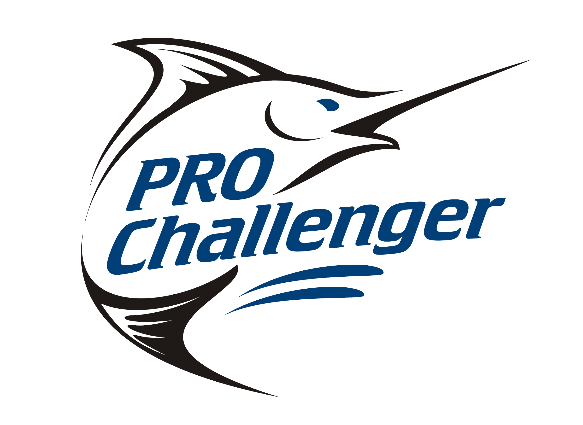 PRO Challenger LLC  PRO Challenger LLC