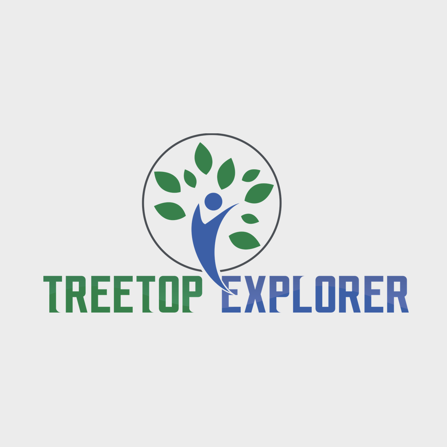 Treetop Explorer, LLC