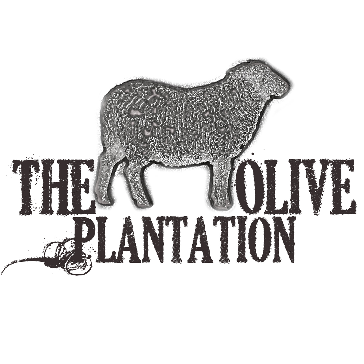 The Olive Plantation