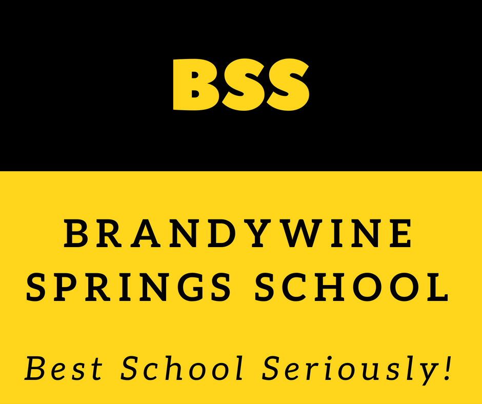 Brandywine Springs PTO