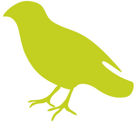piousbird.square.site