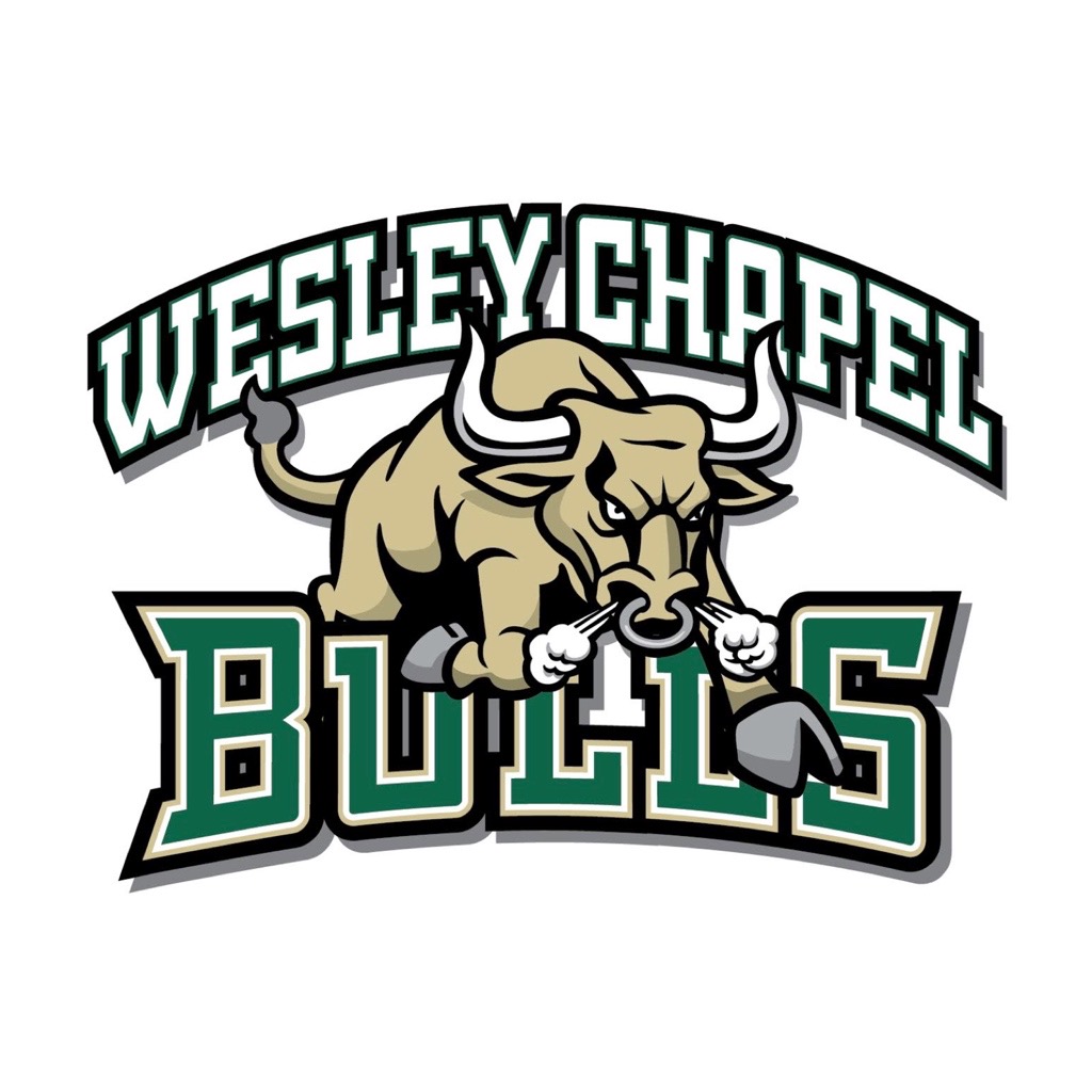 wesleychapelbulls.square.site
