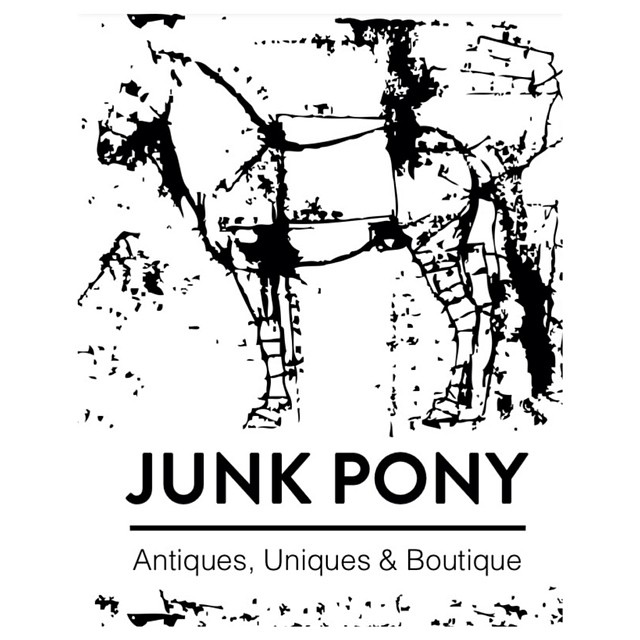 Junk Pony