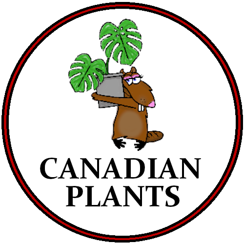 Canadian Plants