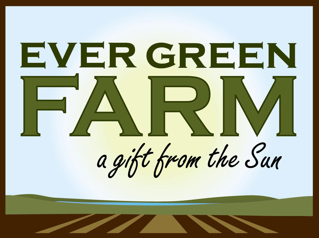 Ever Green Farm CSA