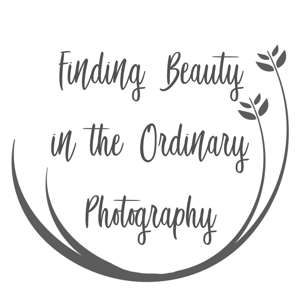 finding-beauty-photography.square.site