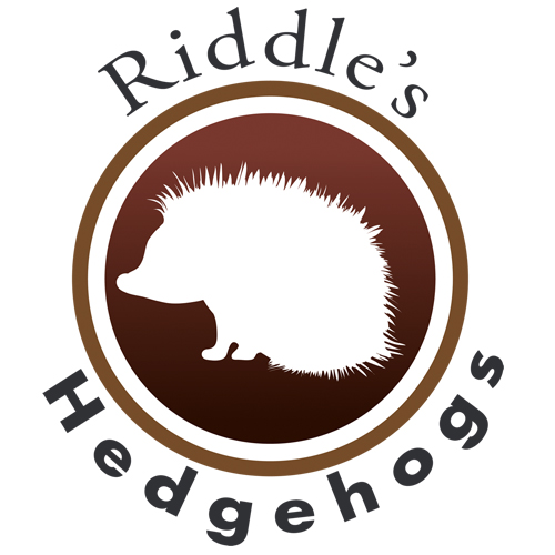 Riddle's Hedgehogs and Friends