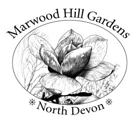 Marwood Hill Gardens