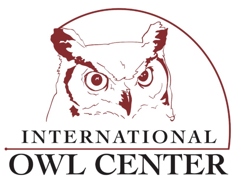 international-owl-center.square.site