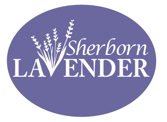 Sherborn Lavender